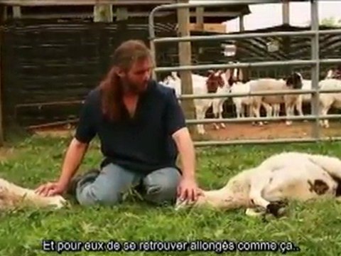 La Miséricorde de l'abattage rituel islamique 1/2