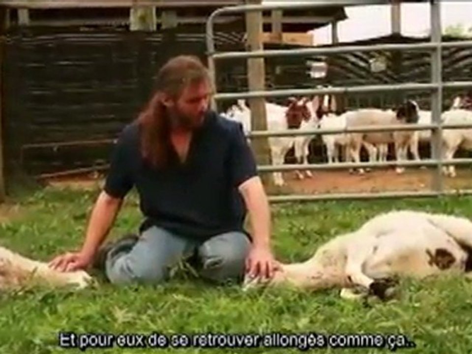 La Miséricorde de l'abattage rituel islamique 1/2