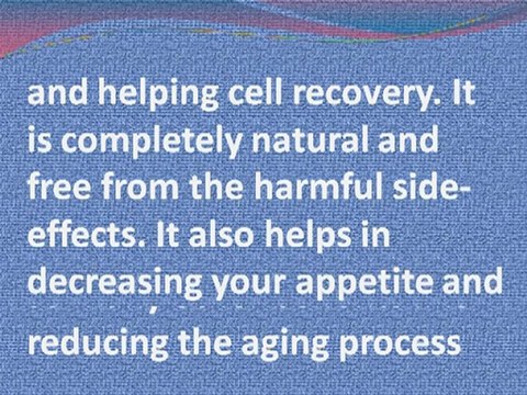 The most effective diet pills – Acai Berry and Proactol-plus