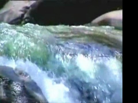 İmam-ı Rabbani (k.s)-Pişman Olmamak İçin