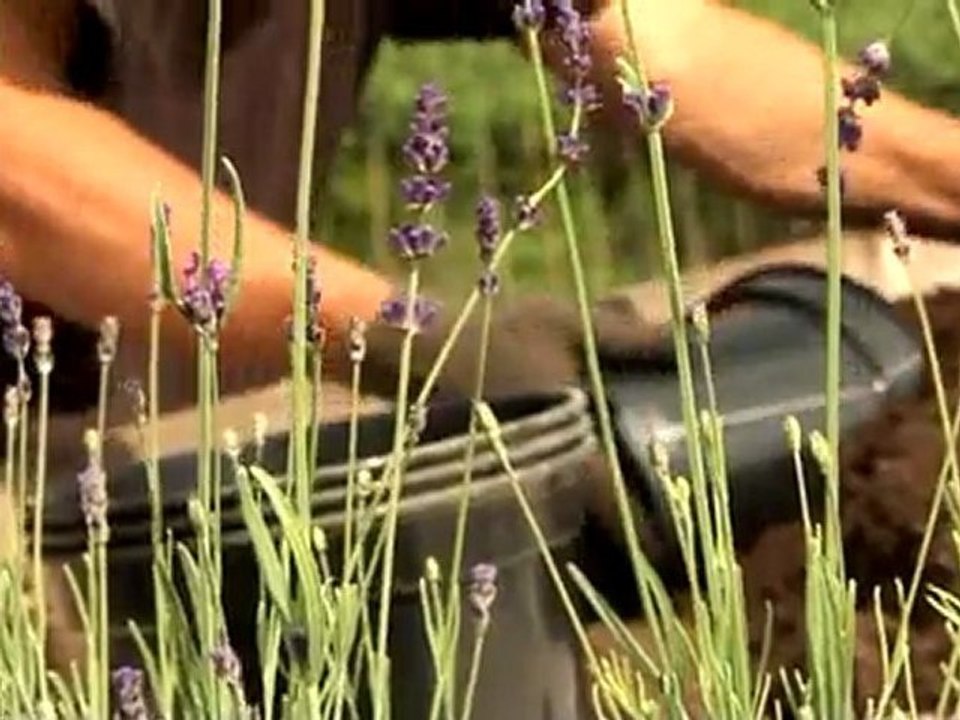 5 portraits de paysans bio dans le Var