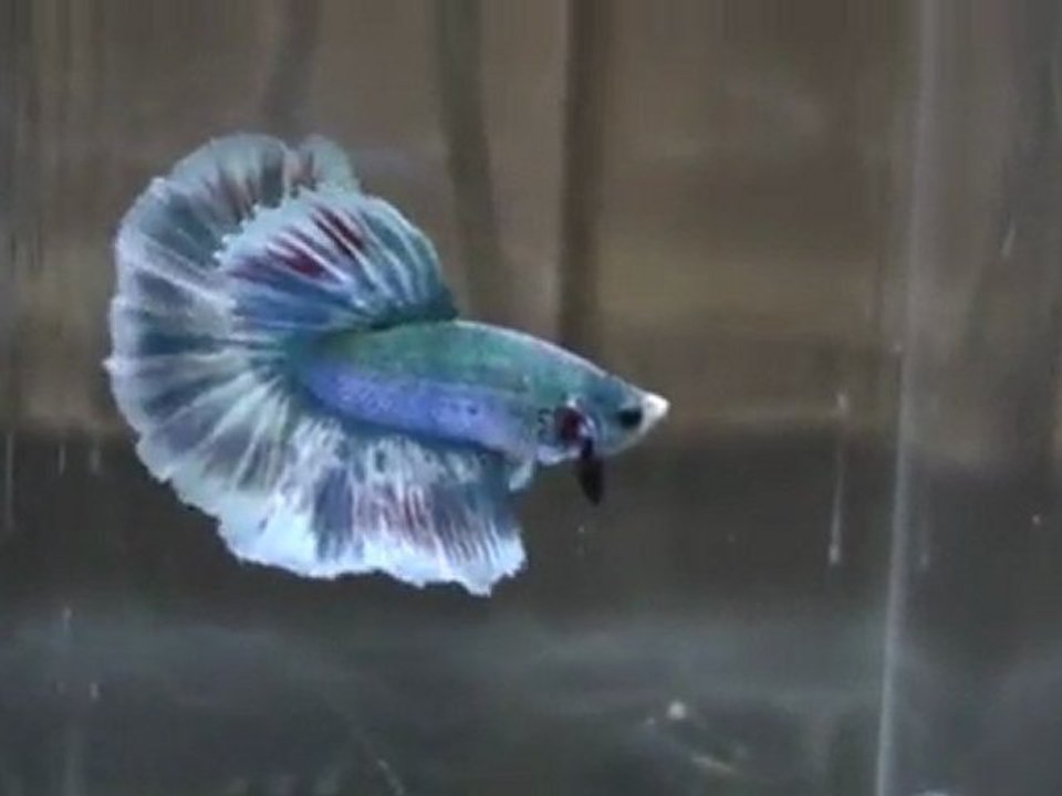 20110701200444