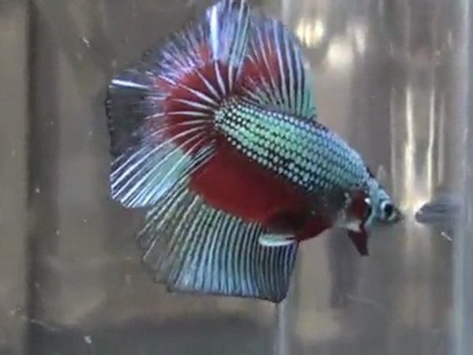 20110701195941