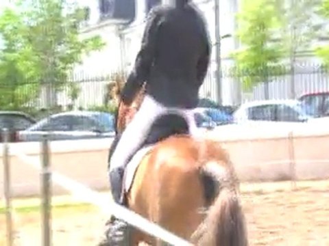 Finale du Challenge Inter-Clubs - Dressage Club 2 - Quenzo et moi