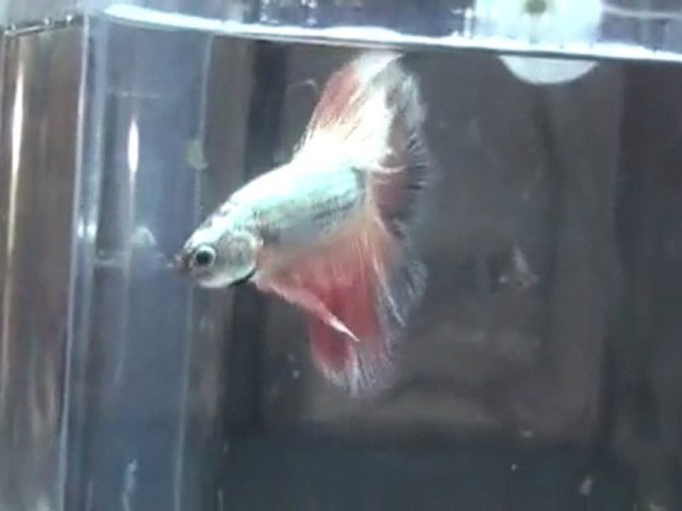 20110701195856