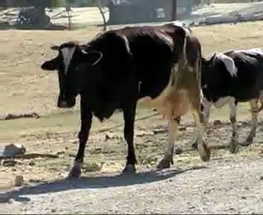 Dursunbey Tanıtım Videosu