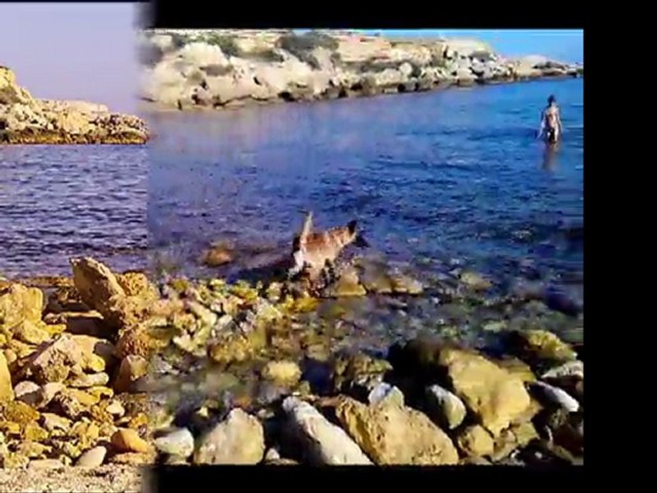Tana à la plage