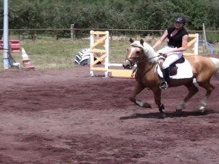 Uppercut (bientôt 3 ans) - Premier concours