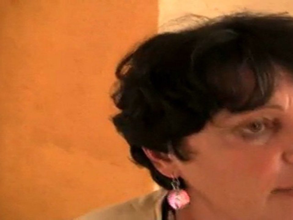 Retour sur l'incendie du Tricastin avec Michèle Rivasi