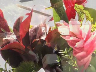 Maison Édouard Glissant