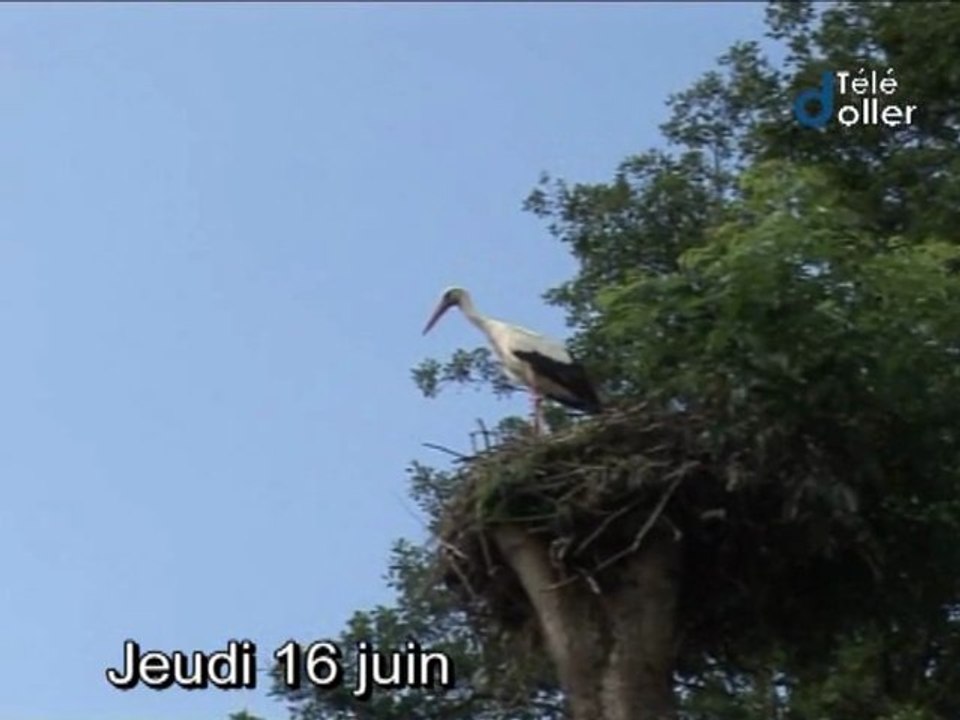 Doller Hebdo  du 2  au 9 juillet 2011