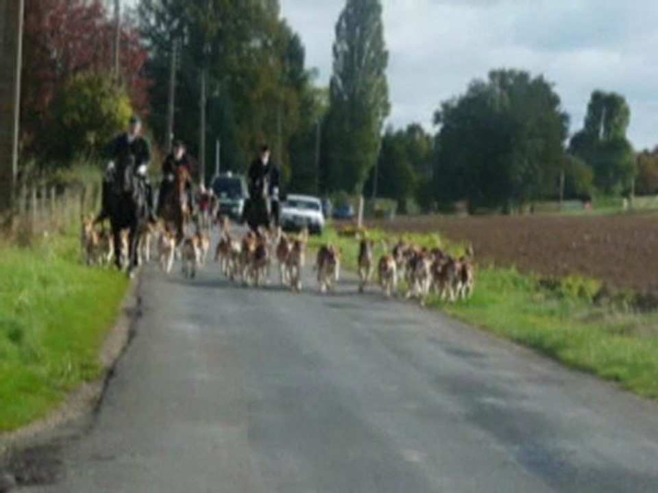 Sans titre_20110426_163654les animaux de la foret