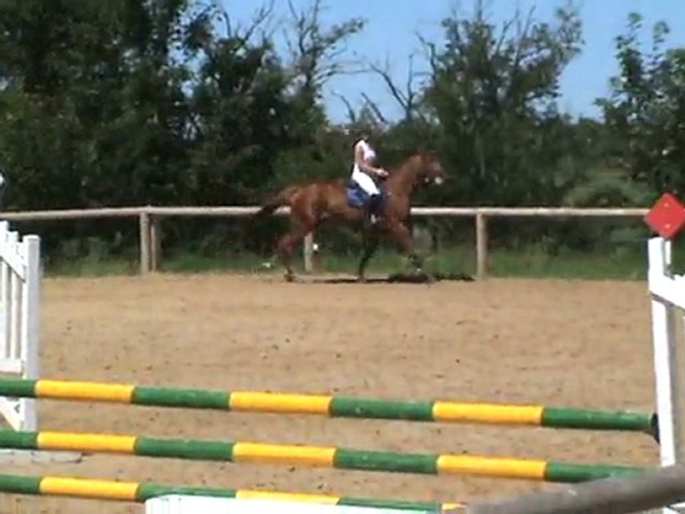 REINE DE LA CRECQUE RODEZ 25 JUIN 2011 CYCLE LIBRE 6ANS 2EME ANNEE