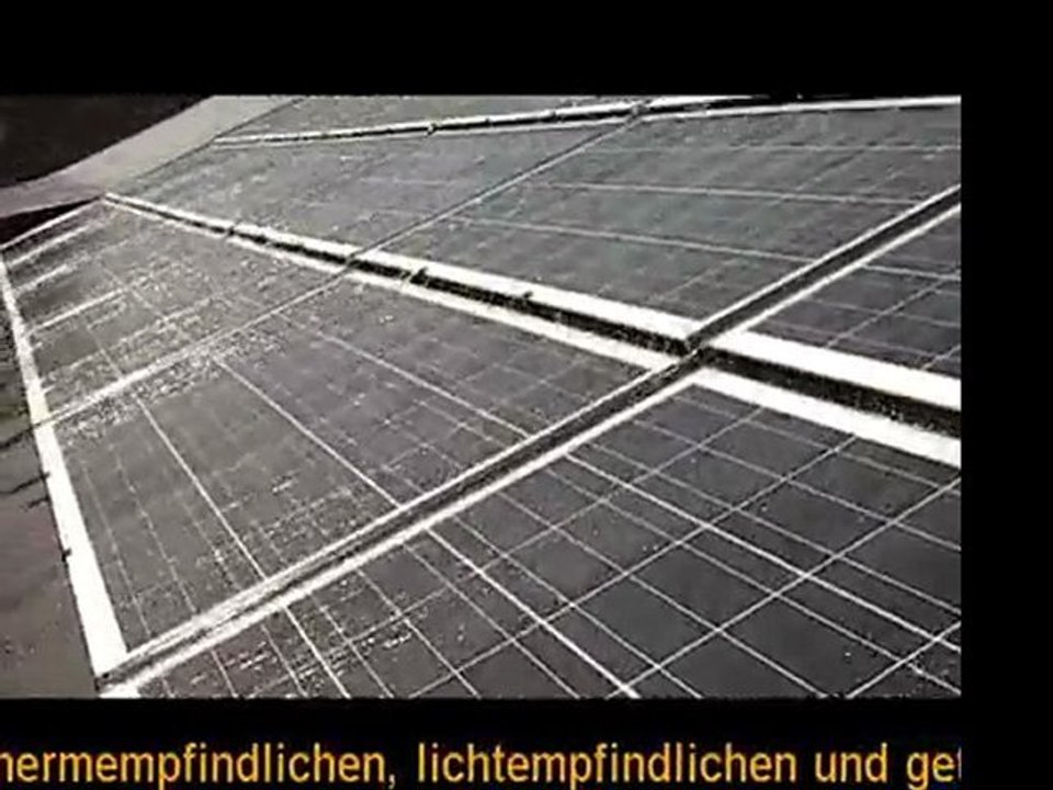 OPALE photovoltaisches System auf der Sycomoreens Molkerei