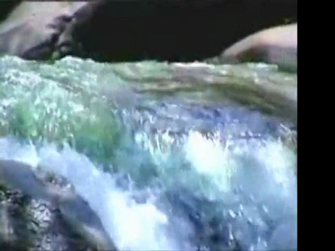 İmam-ı Rabbani (k.s)-Verâ ve Takva