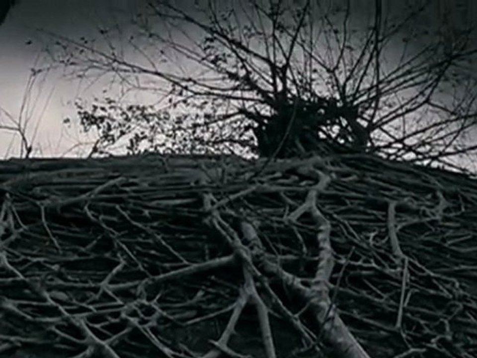 Ocean Of An Old Man (2011) Dvd Rip Watch Online Part1