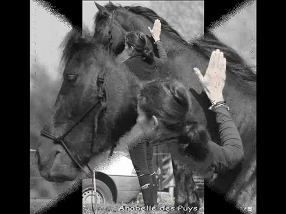 STAGE ETHOLOGIQUE MAI 2011