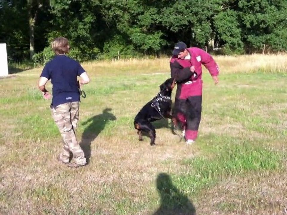 ENTRAINEMENT ARES 14 MOIS (2)