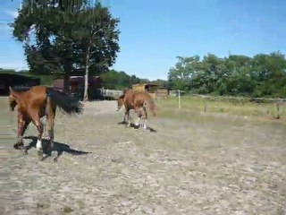 Vodka et Vacaras de May Juillet 2011 3