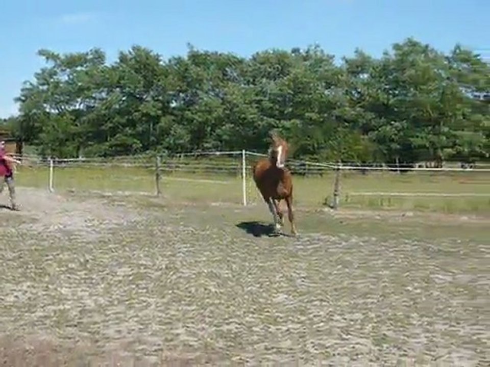 Vodka et Vacaras de May Juillet 2011 5