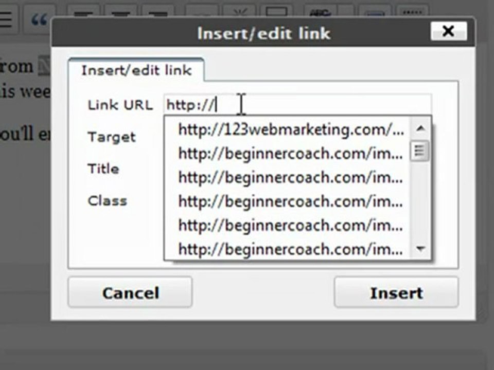 Posting Links in WordPress Blog Posts