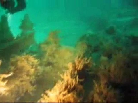 Grandcamp Maisy - LCT coulé le 6 Juin 1944 (Cric14v -2008)