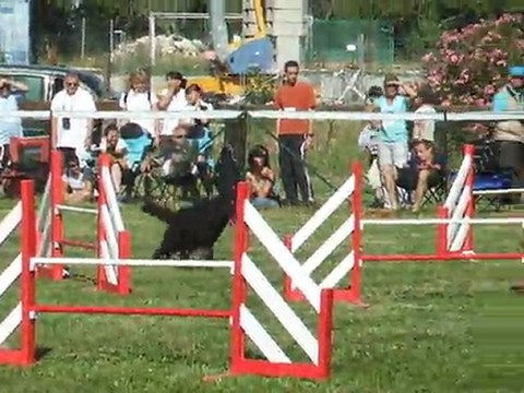 Auckland jump 1 Finale GPF Eyragues 2011