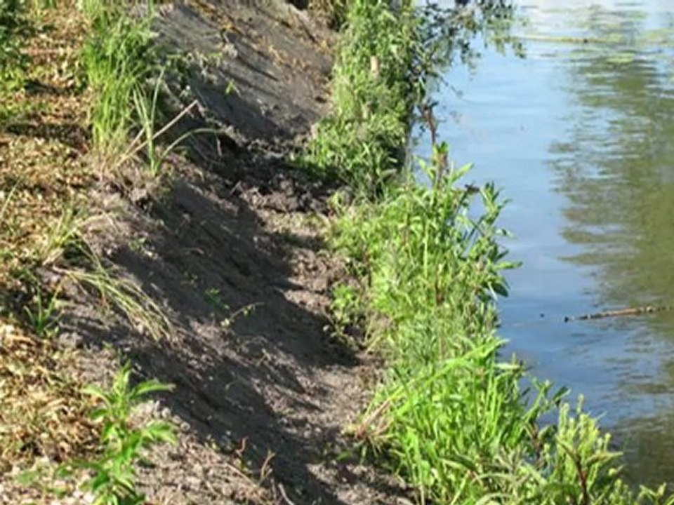 "L'ile de la pépinière" - Hortillonnages Amiens 2011