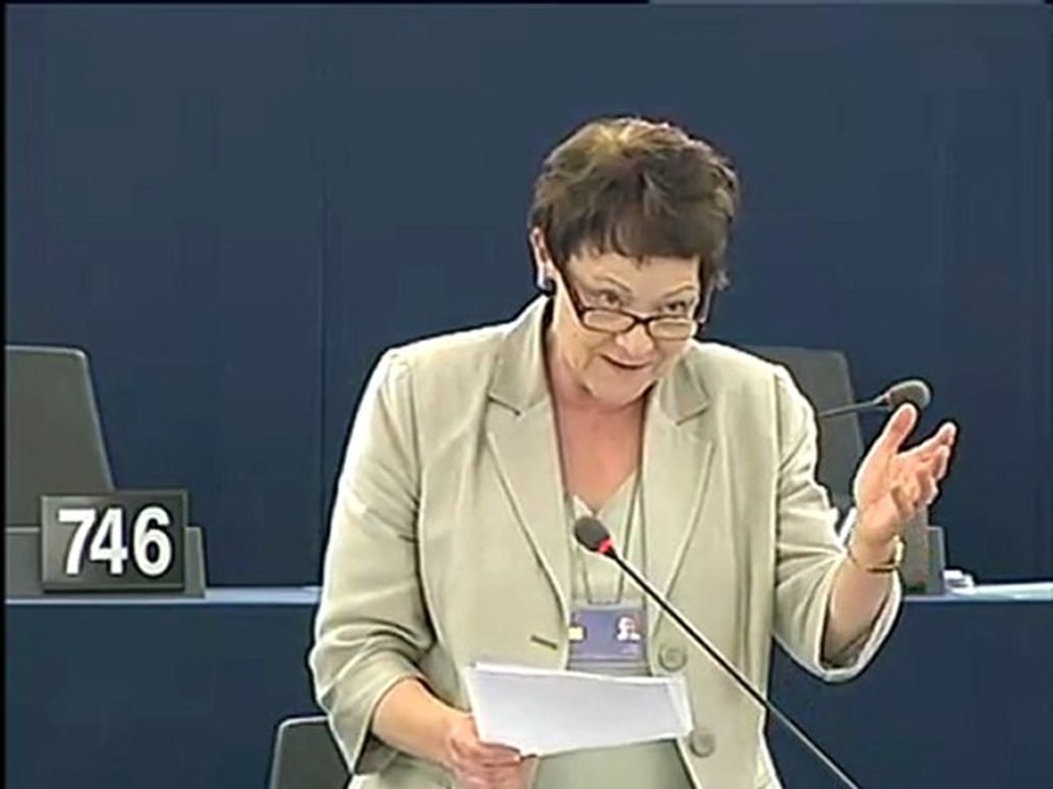 Sarah Ludford on Agency for the management of large-scale IT systems