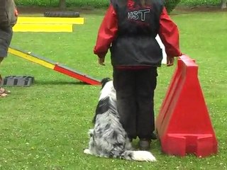 iago et ma puce a  wans 2011 2011_07_04_21_12_34