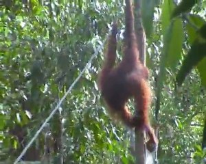 Hé Laurent, arrête de nous casser le noix