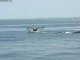Baleines a Bosse, Cape Cod
