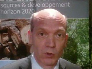 « Bois énergie : ressources et développement à l’horizon 2020 »,