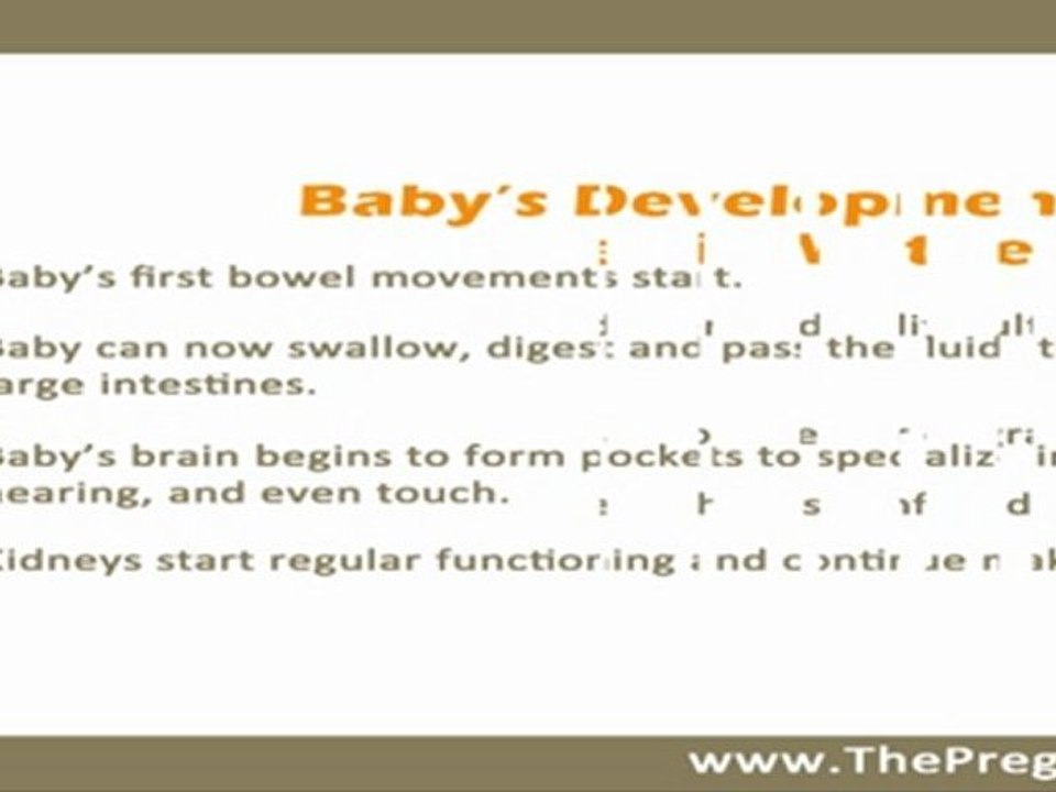 A Guide to pregnancy week by week (Part 5)