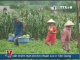 BẢN TIN THỜI SỰ TRUYỀN HÌNH THÔNG TẤN 12H 05.07.2011, TTXVN, VNEWS, TIN TỨC