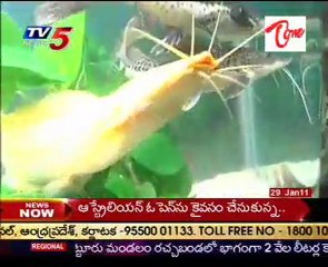 Singapore Aqua Expo in Vijayawada