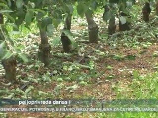 Poljoprivreda danas 05.07.2011.