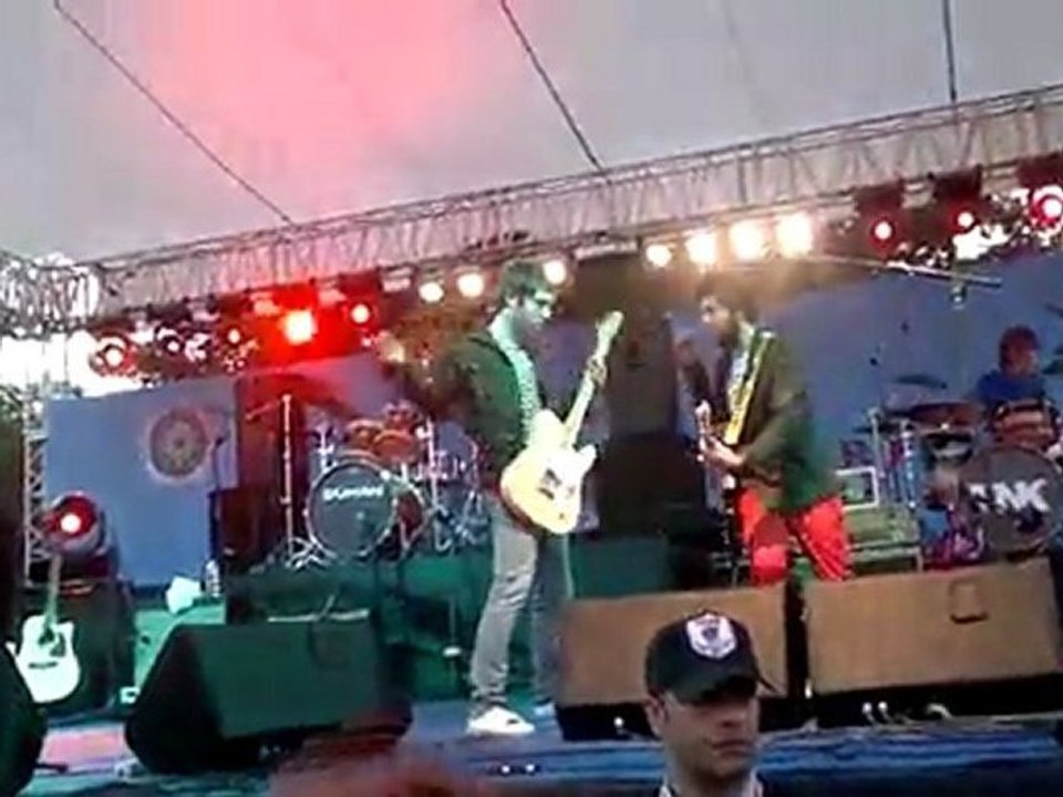 TNK-Zehirli Sarmaşık (YTÜ)