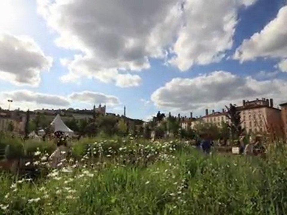 Coucher de soleil - Nature Capitale Lyon