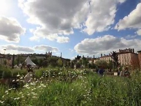 Coucher de soleil - Nature Capitale Lyon