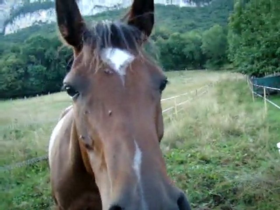 201107 - Reg au pré