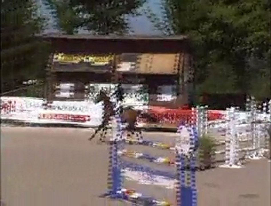 Quality d'hammer Csi *** Canteleu Grand prix  7ans