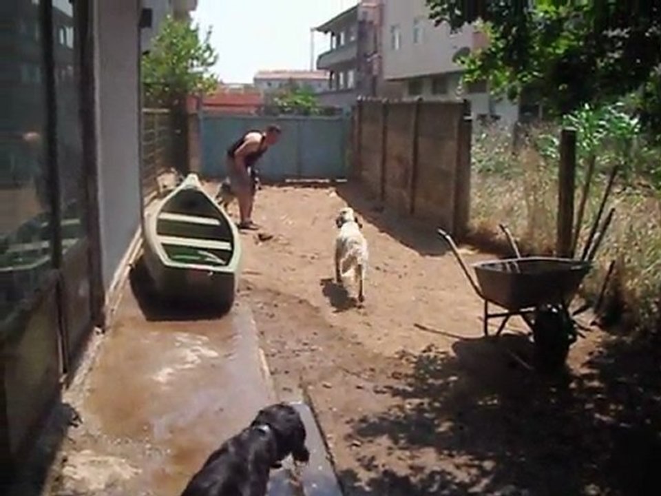 Çomar.:)    Baba:certo della vecchia irlanda..   dede: radentis nomar.