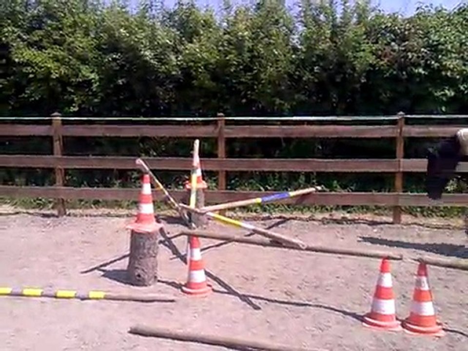 vinston saut