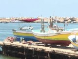 Gaza: les pêcheurs affichent leur soutien à la flottille