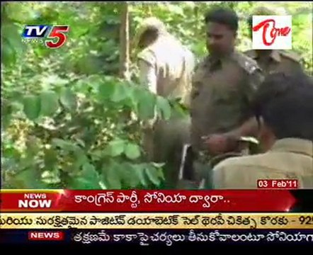 Tigers moments,Villagers worrying @ Coonavaram area,Khammam dist
