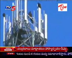 Daily Mirror - Radiation with Cell Towers,Effects on Birds - 02nd Feb11_Part-01