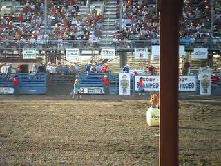 Rodeo #3 (Cody, WY, 4th of July, Stampede Rodeo)