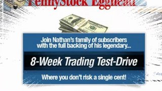 the penny stock egghead review - penny stock millionaire