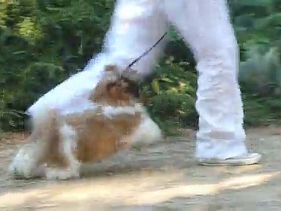 Sateeeeeeeeeeeeeeeeeeeeeen et moi lol